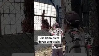2025 er&ouml;ffnet dieser Affenpark in Deutschland&hellip; unfassbar!