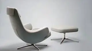 Modern Good Comfy Lounge Chair