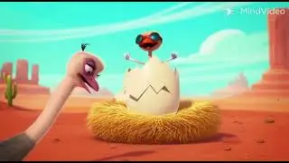 Egg hatching ostrich