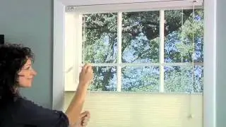 Signature Series | Cellular Shades Bottom Up Top Down