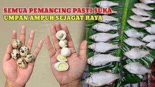 MAAF GURU SAYA BONGKAR‼️UMPAN PALING JITU BUAT MANCING DI SUNGAI