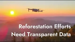 How Can Transparent Data Revolutionize Reforestation?