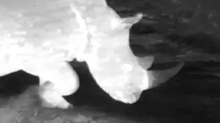 Anti Rhino poaching operations in South Africa with FLIR Thermal Cameras by Timeless Technologies
