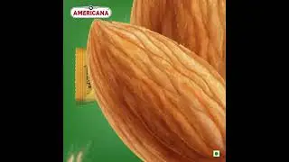 Americana Digestive biscuit Product launch