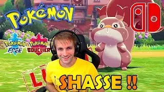 🔴 LIVE SHASSE !! RONGOURMAND SHINY SUR POK&Eacute;MON &Eacute;P&Eacute;E & BOUCLIER !!  GO LIVINDEX !!! (Fin)
