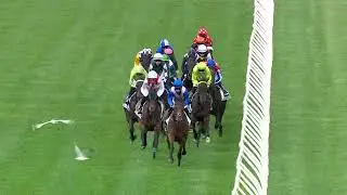 2024 VRC FLEMINGTON Oaks