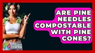 Are Pine Needles Compostable With Pine Cones? - Holistic Balance And Bliss
