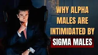 Why Alpha Males Are Intimidated by Sigma Males