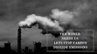INTERNATIONAL REDUCE CO2 EMISSIONS DAY