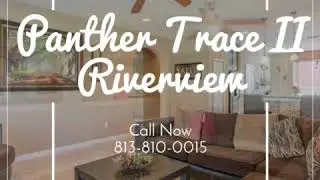 Panther Trace, Riverview Home For Sale