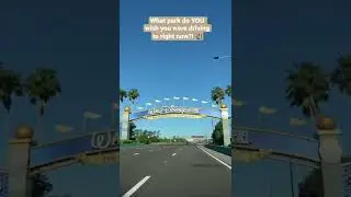 Driving to Disney World