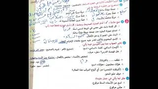 اختبار المنوفية اولى اعدادي ازهر
