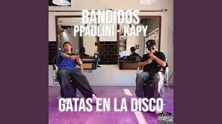 GATAS EN LA DISCO