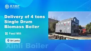 4 tons of Single Drum Biomass Fired Steam Boiler Used for a Feed Mill in Sri Lanka~