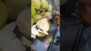 Why Coconut is the MOST Versatile Food