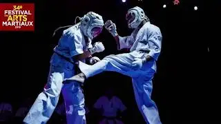 LE ZENDOKAI KARATE DO AU 34E FESTIVAL DES ARTS MARTIAUX !
