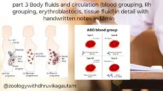 Part 3 Body fluids and circulation (blood grouping,Rh grouping,erythroblastocis, tissue fluid) 