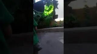 Iemax😂😂😂😂😂🤣😋