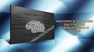 ANATOMIA ȘI FIZIOLOGIA ENCEFALULUI. IGIENA SISTEMULUI NERVOS (II)