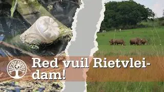 Erge besoedeling by Rietvleidam wek kommer
