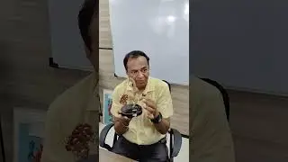 Development of pancreas and liver by Dr yjb