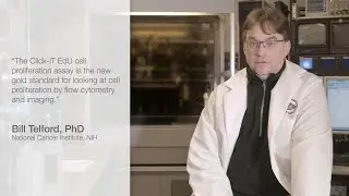 Click-iT&trade; EdU technology is the best for measuring DNA synthesis by flow cytometry