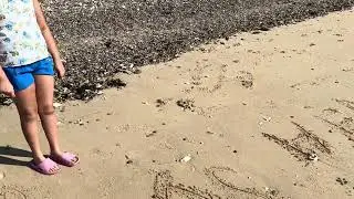 In Coopers beach Mersea Island