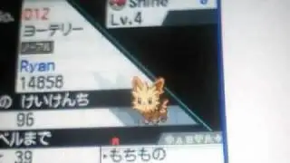 Pokemon White-Shiney Yorterrie!