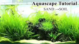 Iwagumi aquascape changed SAND&rarr;SOIL | 60cm planted tank makeover