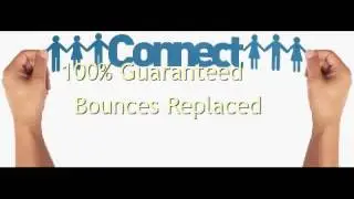 B2b Company List