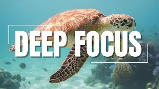 Soft Focus Flow &ndash; Calm Background Music for Study & Work
