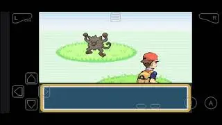 Bug pok&eacute;mon folha verde 