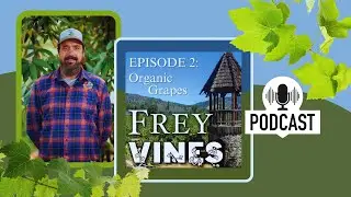 Organic Grapes Podcast #FreyVines #FreyVineyards #FreyWine #OrganicGrapes #OrganicWine
