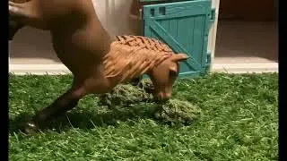 Mini mare update Part 8 l Schleich Horse Skit l #shorts #schleich #schleichhorse l