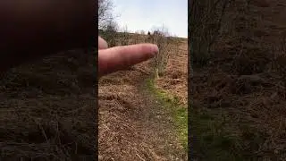 Paras 10 prep. #paras10 #fandance #fitness #outdoorfitness #shortsvideo #ruck #goruck #rucking