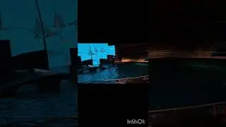 DOLPHIN SHOW | NETHERLAND | DOLFINARIUM| BALAKA BEJEWELLED
