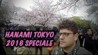 HANAMI SPECIALE A UENO
