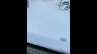 рекомендуется норма))