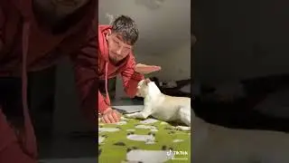 Chihui