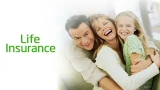 Best Life Insurance Companies In Dubai