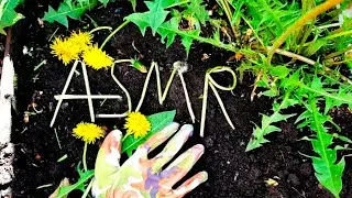 ASMR walking outside by ASMR Garden
