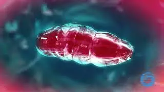 Microcurrent Explained | Bio-Therapeutic