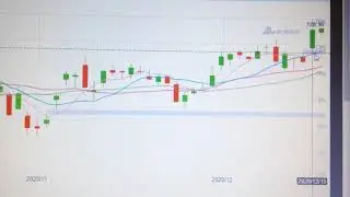 Apple Stock Price Trend Analysis Financial Market 1217