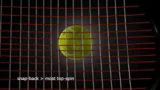 L-Tec : the spin-effects