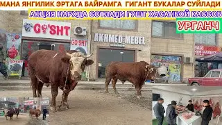 ЭРТАГА 30-ДЕКАБРЬ ГУШТГА МАРХАМАТ ХАСАНБОЙ КАССОБ ГЎШТХОНАСИ АКЦИЯ НАРХДА СОТЛАДИ | УРГАНЧ.