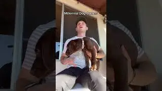 Millennial Dog Owners #shorts #dogs #animals #millennials