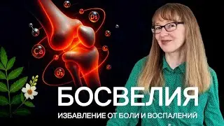 АРТРИТЫ, АСТМА, КОЛИТЫ: одно решение от всех болезней. РЕАЛЬНЫЕ ИСТОРИИ 
