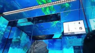 서울특별시 송파구 올림픽로 300 롯데월드타워 전망대 E411 탑사기