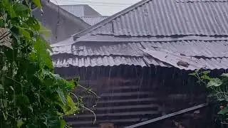 Heavy Rain + Thunder Sounds | Night Rain for Deep Sleep