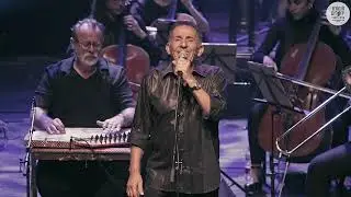 TJOEW w/ Maestro Tom Cohen ft. Avihu Medina - 